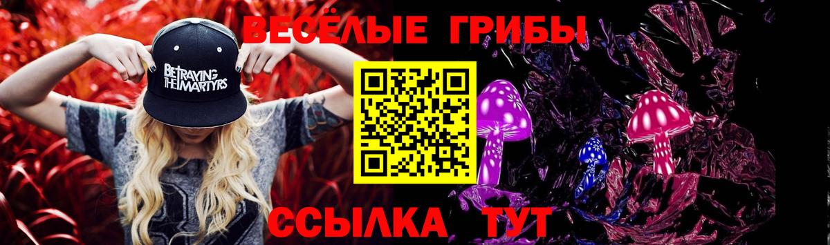 Псилоцибиновые грибы Cubensis  Вход с VPN  Гулькевичи 